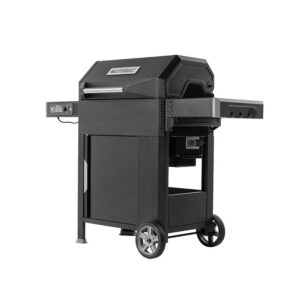 Masterbuilt Masterbuilt - 545 - Charcoal BBQ