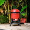 Kamado Joe - Big Joe III Kamado Joe - Big Joe III - Image 8